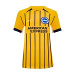 Brighton And Hove Albion Fanshop | bhafc womens 2425 away shirt with custom printing Collection