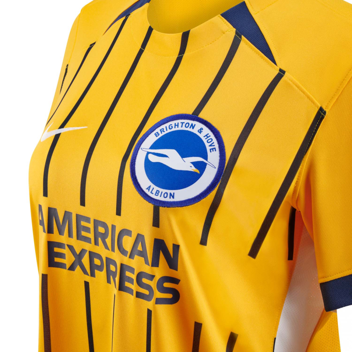 Brighton And Hove Albion Fanshop | bhafc womens 2526 third shirt Collection
