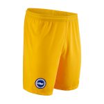 Brighton And Hove Albion Fanshop | bhafc youth 2425 away shorts with custom printing Collection